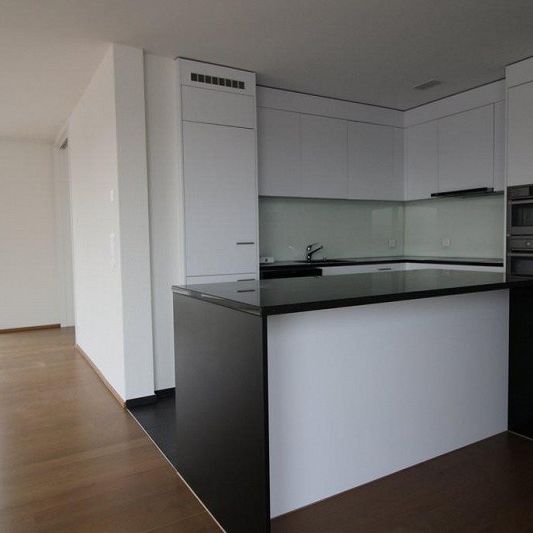 Schöne Attikawohnung mit Blick in die Ferne - Photo 1