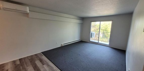31 Rue Des Flandres (Gatineau) Magnifique 4 1/2 à Louer ! - Photo 2