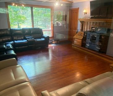 À louer / Appartement - Photo 4