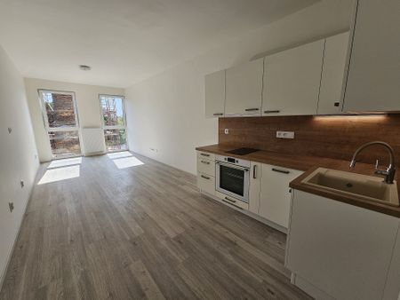 Pronájem bytu 1+kk a garsoniéry 30 m², Goldscheiderova, Plzeň - Photo 5