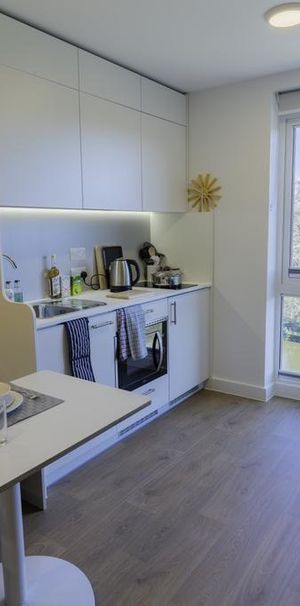 1 bedroom private hall to rent - Photo 1