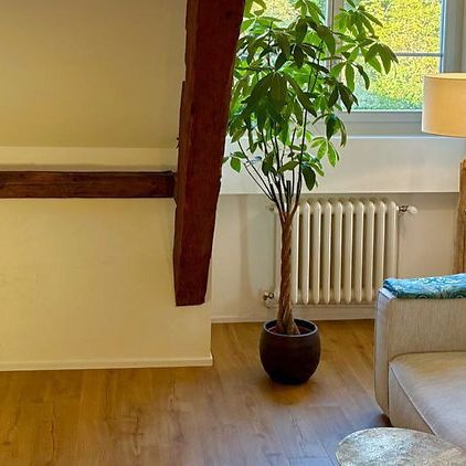 2.5 Zimmer, 58 m², 3. Stock - Photo 1