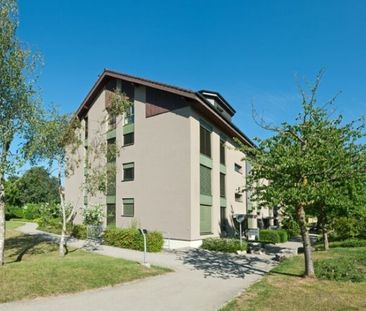 LA VIE À LA CAMPAGNE - Photo 5