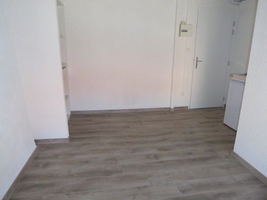 Location appartement 1 pièce 17.05 m² à Aubenas (07200) - Photo 1