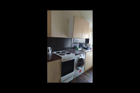 Studio Flat, Villa Road, B19 - Photo 5