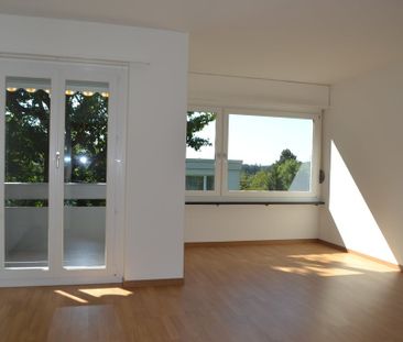 Single-Wohnung an ruhiger Lage in Witikon - Foto 2