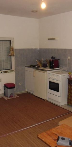 Location Appartement 1 pièce 18m² SOUCIEU EN JARREST 69510 - Photo 1