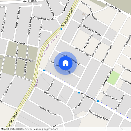 21 Flemington Parkway, NSW 2765, Box Hill