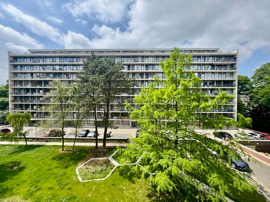 Alsemberg - Photo 1