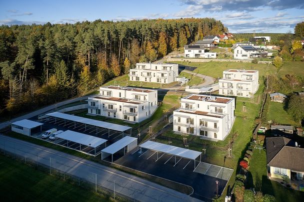 Schöne 3-Zimmer-Wohnung im Erdgeschoss mit Garten - Photo 1