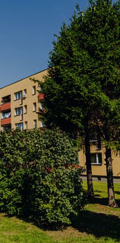 Brzeszcze - Zdjęcie 1