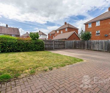 1 Bedroom - Photo 5