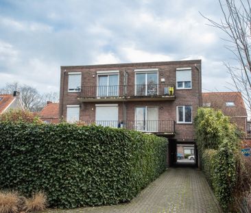 Brasschaat - Photo 3