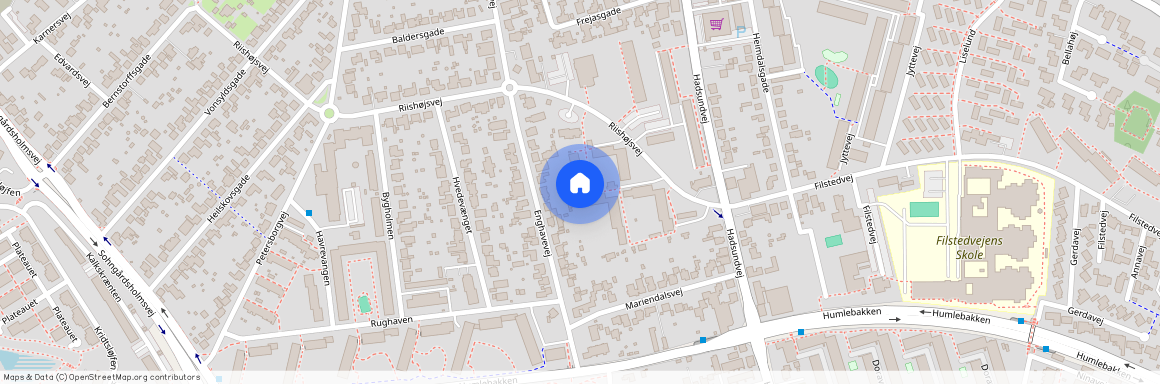 Riishøjsvej 67, 9000 Aalborg