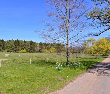 Gate Street Bramley, Guildford - 1 bedroomProperty for lettings - S... - Photo 4