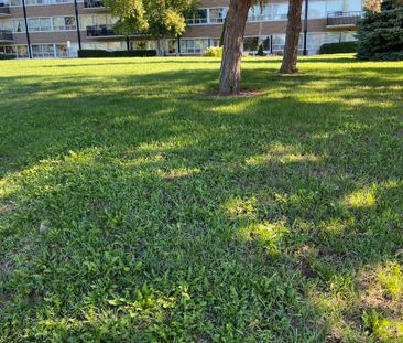 4 Overland Drive Unit 409 - Photo 5