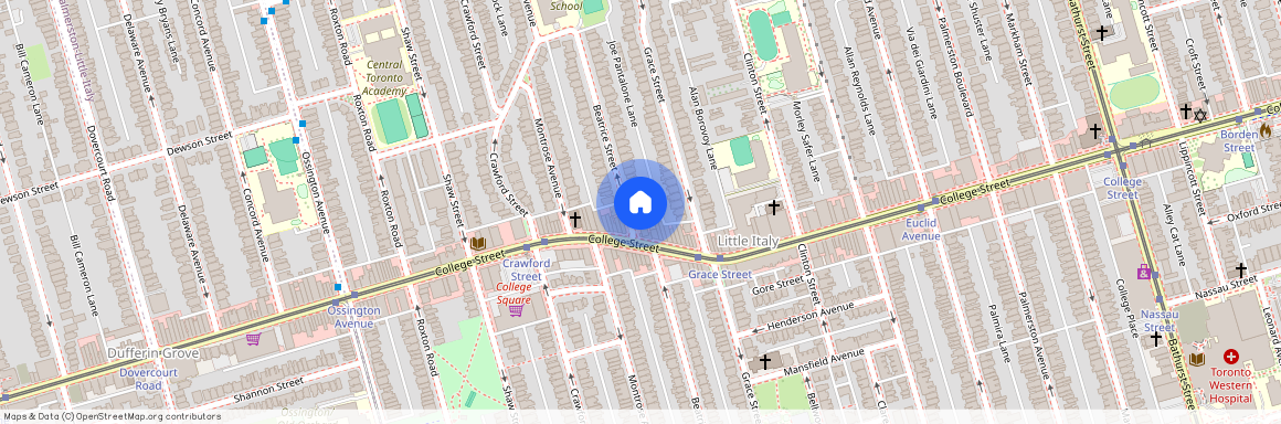 173 Beatrice Street Unit# Main FL, Toronto