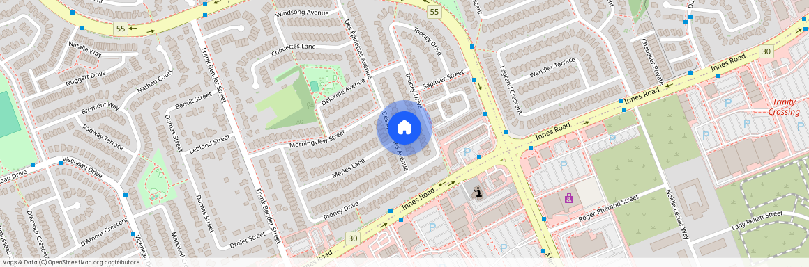 1905 DES EPINETTES Avenue, Orleans - Convent Glen And Area