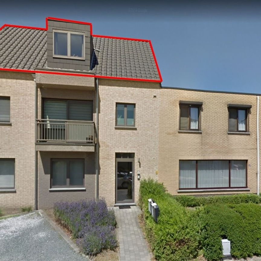 Appartement - Photo 1