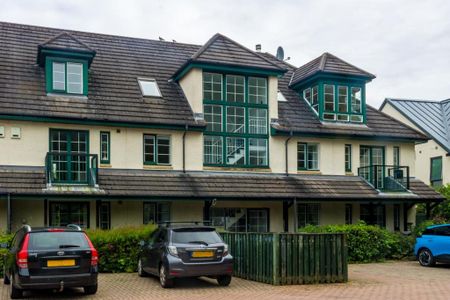 3 bedroom apartment to rent - Photo 5