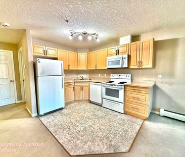 #106 9945 167 Street Northwest - Photo 6