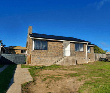 Modern Pet-Friendly Family Home - Photo 1