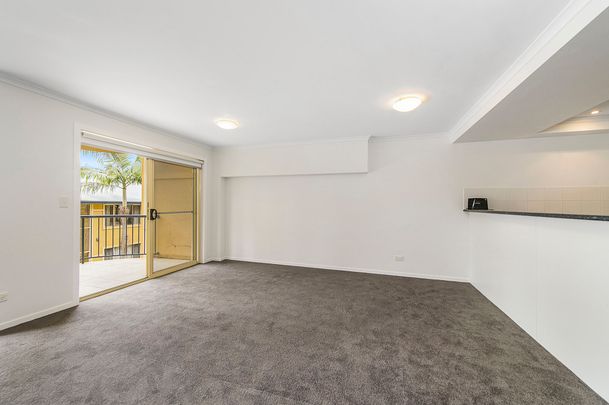20/216 Matthew Flinders Drive, Port Macquarie NSW 2444 - Apartment For Rent | Domain - Photo 1