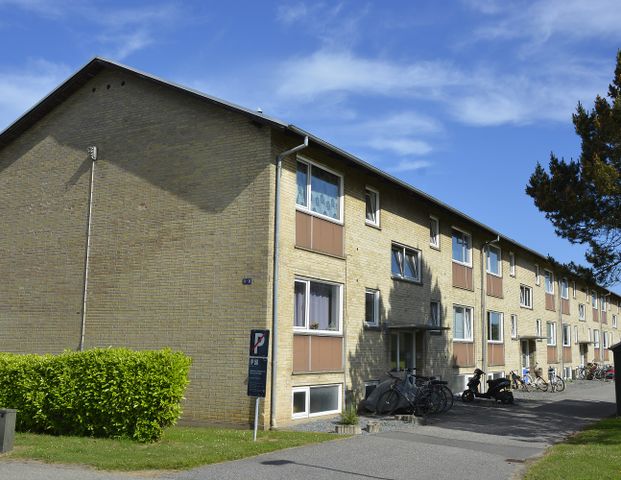 Hyggelig 1-værelses lejlighed i Fredericia nær byliv - Foto 1