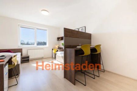 Pronájem bytu 1+kk 29 m - Photo 3