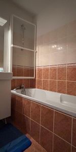 Location Appartement 3 pièces 64m² ST ETIENNE 42000 - Photo 4