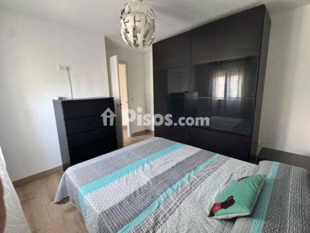 Piso en alquiler en San Pablo - Foto 4