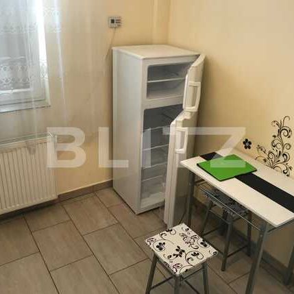 Apartament 1 camera, PET FRIENDLY, strada Cetatii! - Fotografie 1