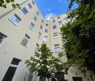 Dielenboden und modernes Bad - Photo 5