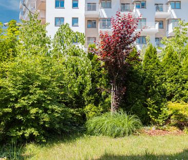 75 m2 | 3 pokoje | Mokotów - Photo 1