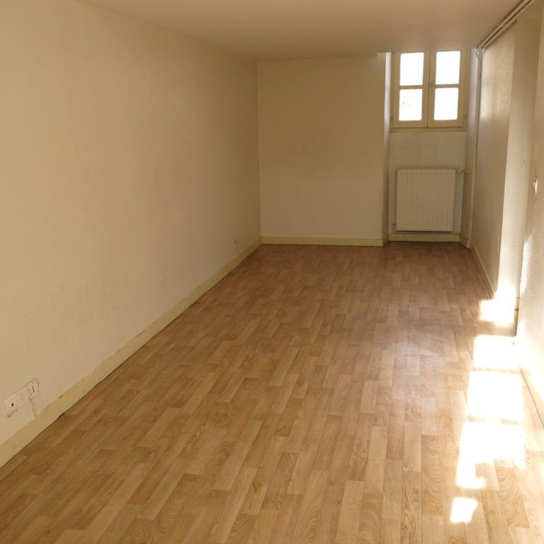 LOCATION APPARTEMENT T3, POITIERS, CENTRE-VILLE - Photo 1