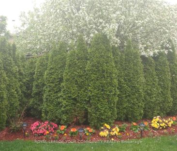 For Lease - 61 Nightstar Drive Unit# Main & 2nd floor, Richmond Hil... - Photo 2