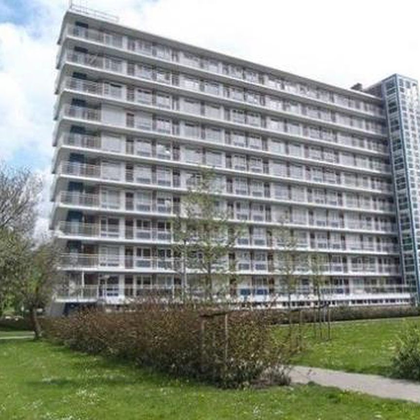 Burgemeester Hazenberglaan 3078 Rotterdam - Foto 1