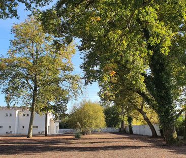 Maison à louer 4 pièces • Pessac - Photo 5