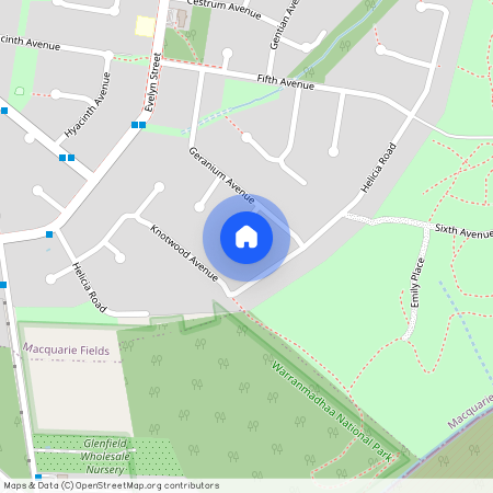 8 Geum Place, NSW 2564, Macquarie Fields