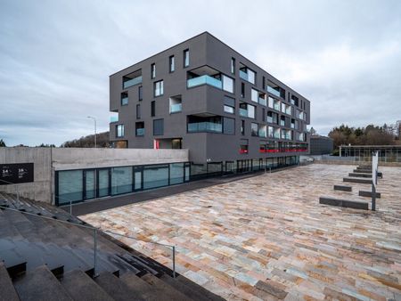 Joli appartement de 3.5 pièces à louer ! - Photo 4