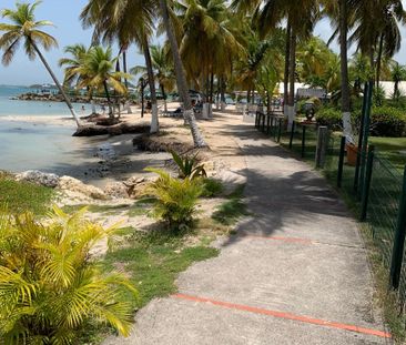 Location Appartement 2 pièces 53m² LE GOSIER 97190 - Photo 6