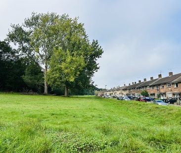 Tilgate - Photo 3