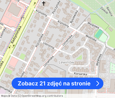 OD ZARAZ-GARAŻ-BALKON-ŚWIEŻO MALOWANE - Zdjęcie 1