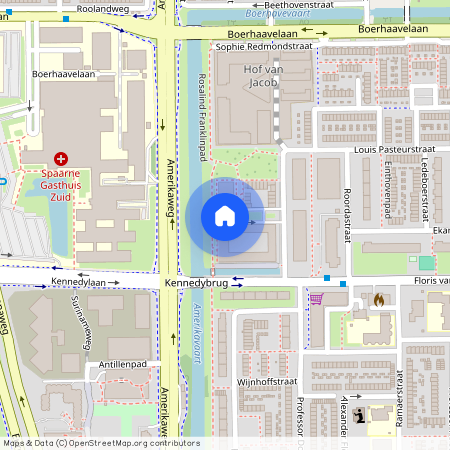 Anthony Roodvoetsstraat 91, Noord-Holland, 2035 PW, Haarlem