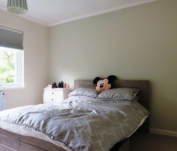 Brunswick Drive - Photo 4