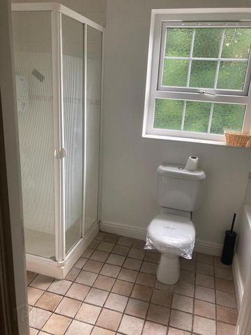 16 Millrace Mews, Moneymore, BT45 7WG - Photo 5