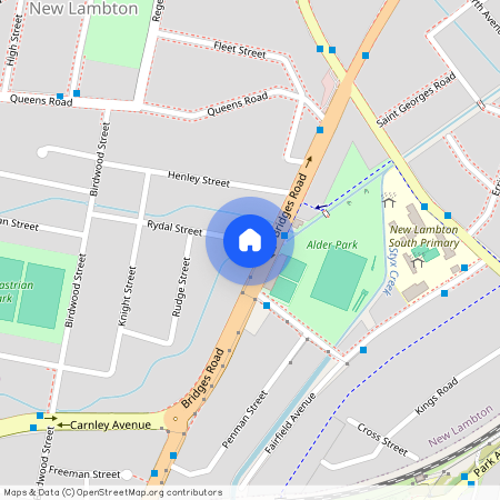 131 Bridges Road, New Lambton NSW 2305