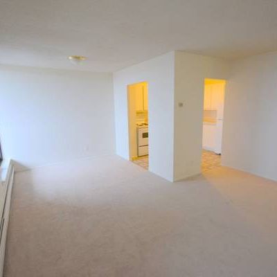 1-Bedroom Apartment Available February 1st at Gilboa Apartments - Photo 4