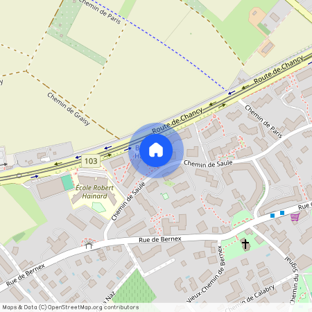 chemin de saule 100, 1233 Bernex