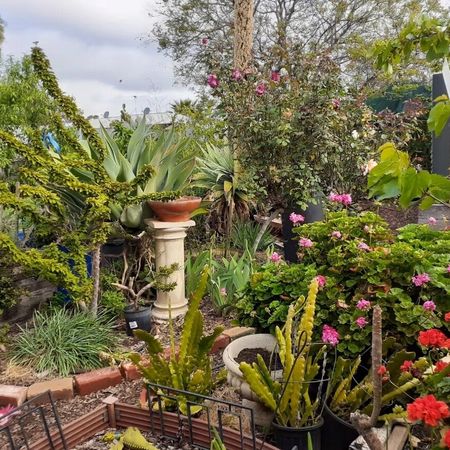 Elizabeth Downs - Photo 4